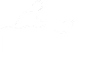 Nyx Studio